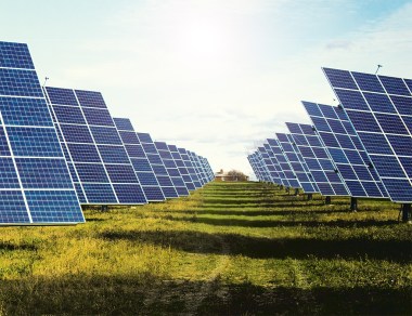 Solar Trackers. File: Robert Nickelsberg.