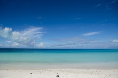 Turtle Beach on Midway Atoll. Saul Loeb / AFP