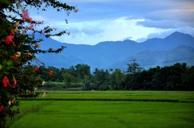 View of rice fields on Negros Island. (Photo by Amandogallaza. CC BY SA. Wikimedia Commons)