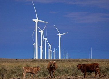 Wind farm in Mexico (Iberdrola image)
