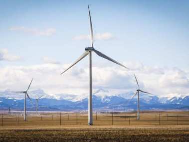 Wind farm near Pincher Creek, Alberta  (Jeff McIntosh / The Canadian Press)