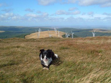 Windy Standard wind farm  (Photo by John Horner, CC BY SA, Wikimedia Commons)