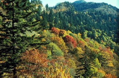 Great Smoky Mountains National Park
