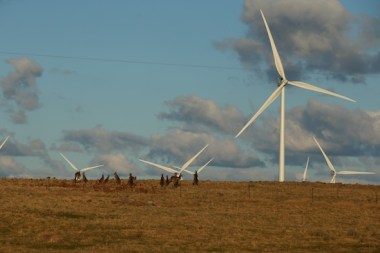 Taralga wind farm (courtesy of Vestas Wind Systems)