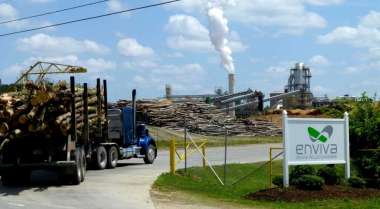 Logs arriving at a pellet facility  (MUST CREDIT: Washington Post photo by Joby Warrick)