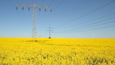 Fast progress in India (Photo by Thomas Kohler)