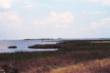 Coast of Louisiana (Photo: Dr Terry McTigue,  NOAA, public domain, Wikimedia Commons)