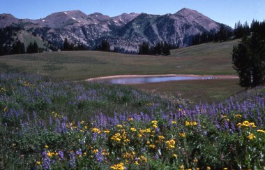 Grand Teton National Park (Photo: NPS, Wikimedia Commons)