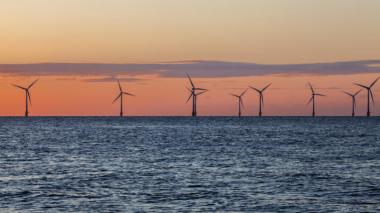 Wind farms accounted for over half of the capacity installed. (Shutterstock)